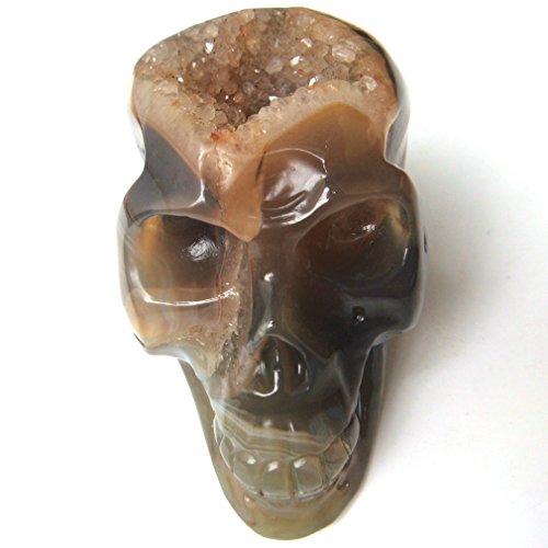 dohuwell 1 pierre naturelle Agate sculpté geodes Cristaux Tête de mort guérison Craft Home Decor, 9,8 cm code EAN B01I53PGFC 