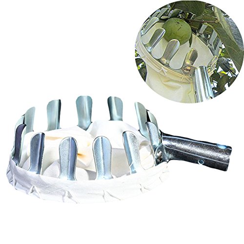 Matériel métal fruit dispositif cueillette ferm...