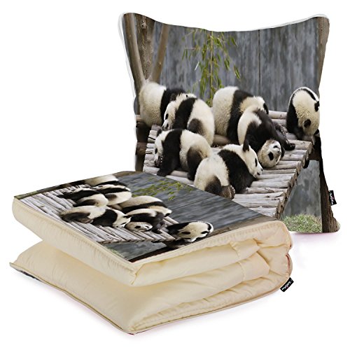 Oreiller (40x40cm) /couverture (120x150cm), sle...