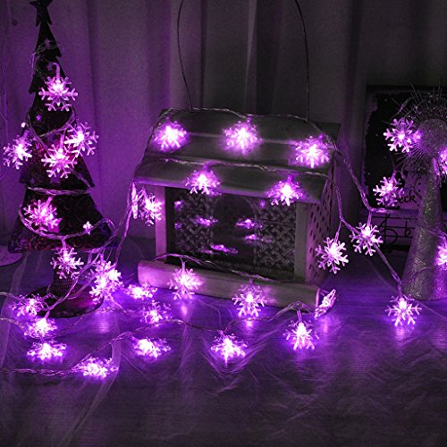 BLOOMWIN 10M Guirlandes Lumineuses Flocon de ne...