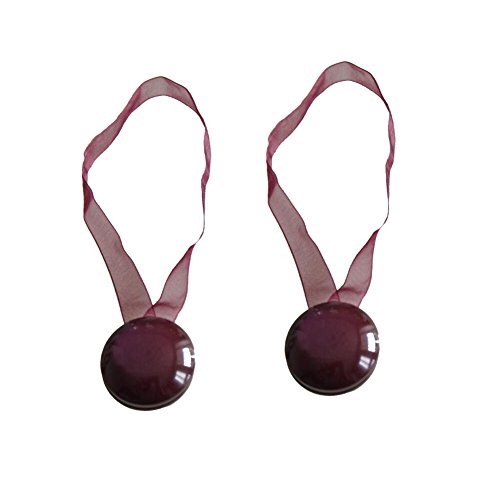 2PC Rideau Tie Backs Retenues rideaux Rideau St...