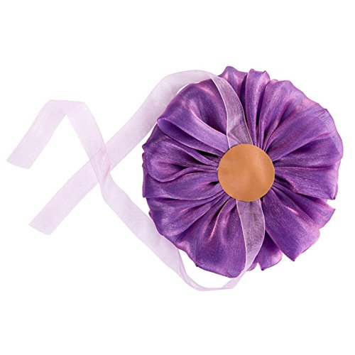 2PCS Rideau Tie Backs Retenues rideaux Rideau S...