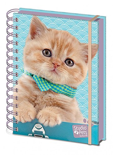 Chats Carnet De Notes Cahier Collège - Pumpkin,...