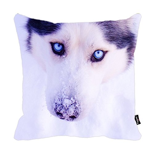 i FaMuRay Oreillers en plyester, 18x18-inch, husky in the snow code EAN B01M04UV5Q 