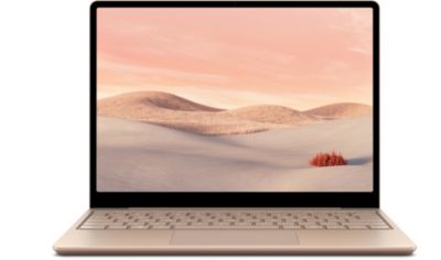 Laptop Go 12.5 I5 8 256 Sable Ordinateur portable