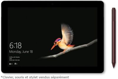 Surface Go 128 Go PC Hybride