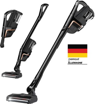 Triflex HX1 Cat&Dog Aspirateur balai